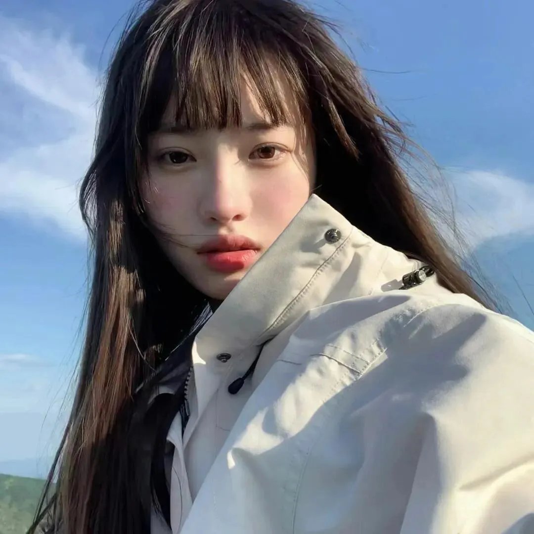 假元首秘纪